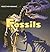 Fossils (Rocks and Minerals)
