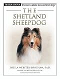 The Shetland Sheepdog