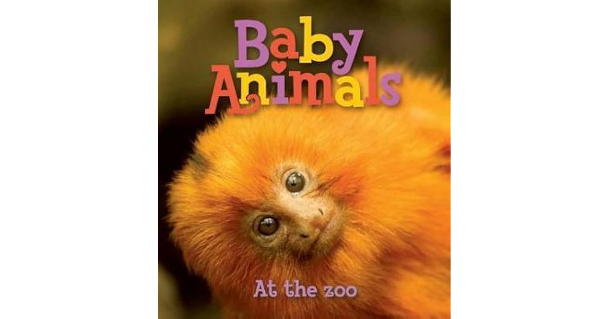 Baby Animals At the Zoo by Kingfisher Publications