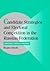 Candidate Strategies and Electoral Competition in the Russian Federation: Democracy without Foundation