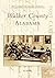 Walker County, Alabama by Pat Morrison