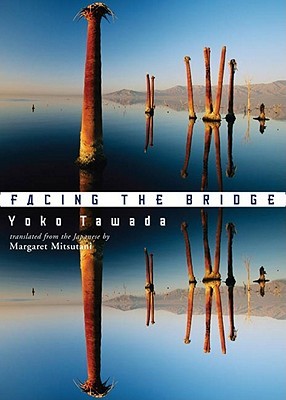 Facing the Bridge (Paperback)