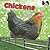 Chickens: Hens, Roosters, a...