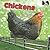 Chickens: Hens, Roosters, and Chicks (On the Farm)