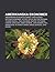 Amerikanska Ekonomer: Amerikanska Ekonomhistoriker, Amerikanska Nationalekonomer, Jeffrey Sachs, Milton Friedman, Thomas Sowell, Paul Krugman