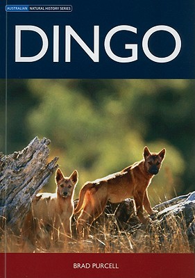 Dingo [OP] (Natural History)