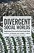 Divergent Social Worlds by Ruth D. Peterson