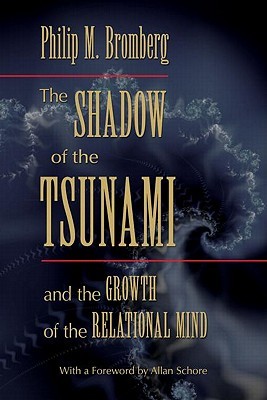 The Shadow of the Tsunami (Hardcover)