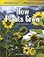 How Plants Grow (Reading Essentials in Science - Life Science)