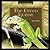 The Green Iguana (Lizard Library)