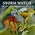 Storm Watch: The Art of Bar...