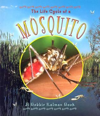The Life Cycle of a Mosquito (Paperback)
