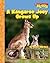 A Kangaroo Joey Grows Up (S...
