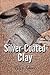 Silver-coated Clay