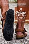 A Pebble In His Shoe: The Diary Of A Straight Spouse