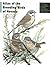 Atlas Of The Breeding Birds Of Nevada by Ted Floyd