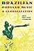 Brazilian Popular Music and Globalization by Charles A. Perrone