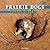 Prairie Dogs: Tunnel Diggers