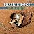 Prairie Dogs by Lynn George