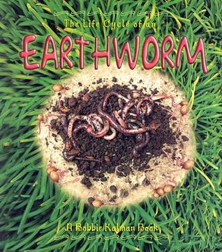 The Life Cycle of an Earthworm (Paperback)