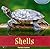 Shells