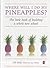 Where Will I Do My Pineapples? by Gill Kelly