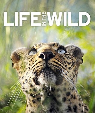 Life in the Wild (Hardcover)