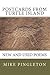 Postcards From Turtle Island by Mike Pingleton