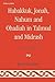 Habakkuk, Jonah, Nahum, and Obadiah in Talmud and Midrash: A Source Book (Studies in Judaism)