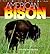 American Bison by Ruth Berman