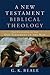 A New Testament Biblical Th...