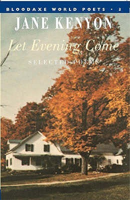 Let Evening Come (Paperback)