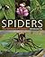 Spiders