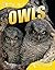 Owls