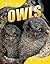 Owls (QED Animal Lives)