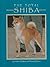 The Total Shiba