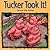 Tucker Took It!