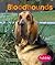 Bloodhounds (Pebble Books)