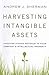 Harvesting Intangible Assets: Uncover Hidden Revenue in Your Company's Intellectual Property