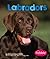 Labradors (Pebble Books)