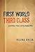 First World Third Class and Other Tales of the Global Mix by Regina Rheda
