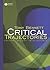 Critical Trajectories: Cult...