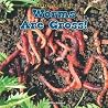 Worms Are Gross! (Creepy Crawlies)