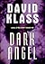 Dark Angel by David Klass