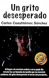 Un grito desesperado: novela de superación para padres e hijos