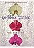 Goddess Games by Niki Burnham