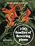 100 Families of Flowering P...