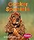 Cocker Spaniels (Pebble Books)