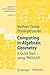 Computing in Algebraic Geometry: A Quick Start using SINGULAR (Algorithms and Computation in Mathematics, 16)