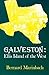 Galveston: Ellis Island of the West (Suny Series in Modern Jewish History)